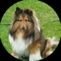 Barry Baker Avatar