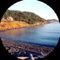 Austin Aylward Avatar